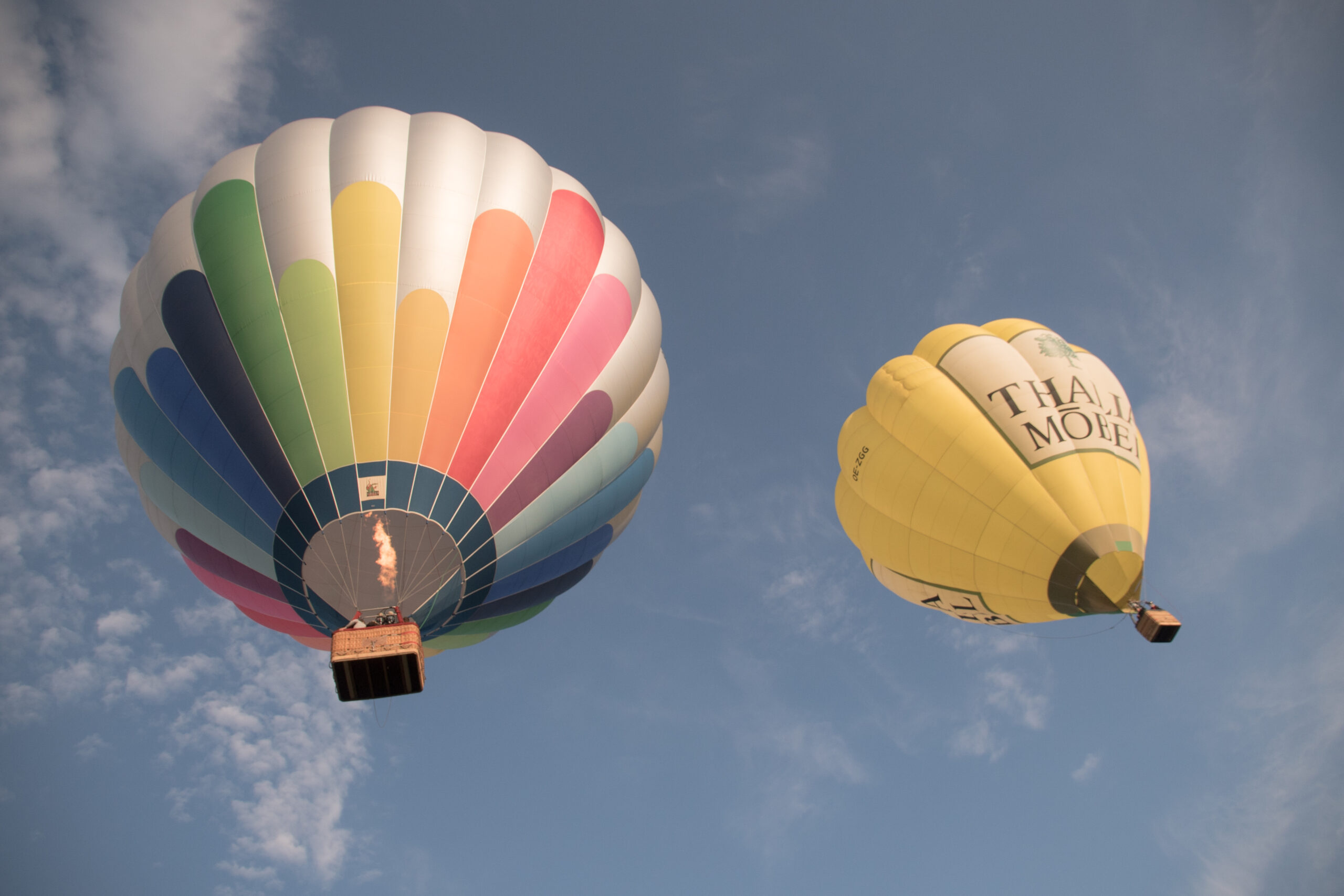 ballon-20200607-0519-61525-C-susannehenris.com