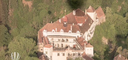 Web WEB ballon susi 20200509 0607 60012 C C